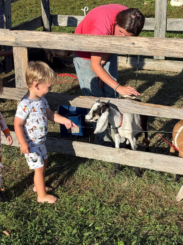 We design it, you bring it to life.